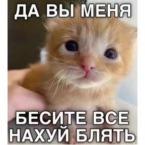 Чилл герл — стикер для MAX