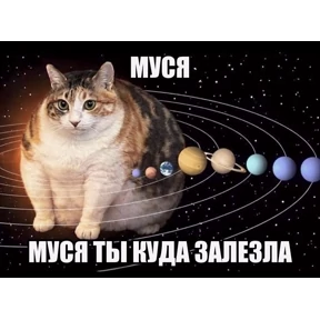 Муся — стикер для MAX