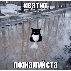 Муся — стикер для MAX