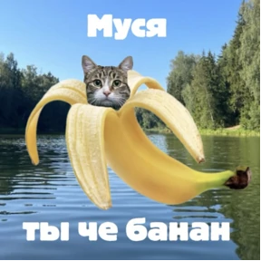 Муся — стикер для MAX