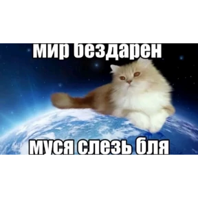Муся — стикер для MAX