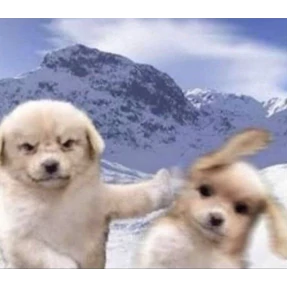 Animals — стикер для MAX