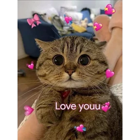 (SSS) CAT(котики) — стикер для MAX