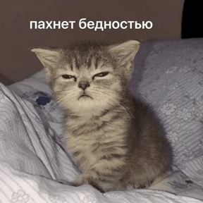 Моиии — стикер для MAX