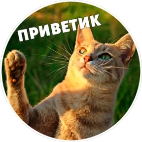 Стикер