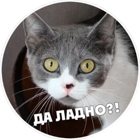 Стикер