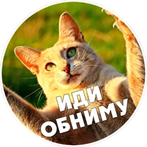Стикер