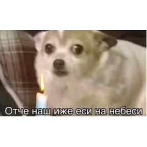 Топи топа — стикер для MAX