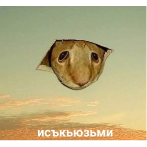 Топи топа — стикер для MAX