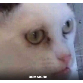 Топи топа — стикер для MAX
