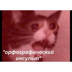 Топи топа — стикер для MAX