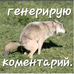 Стикер