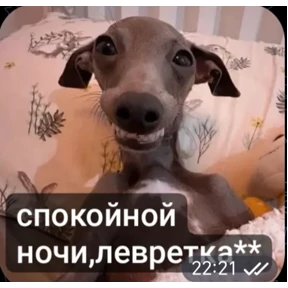 Какой то стикерпак — стикер для MAX
