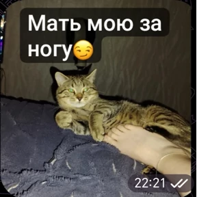 Какой то стикерпак — стикер для MAX