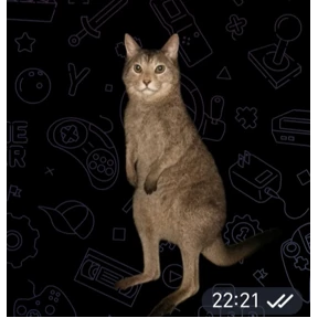 Какой то стикерпак — стикер для MAX