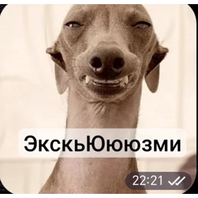 Какой то стикерпак — стикер для MAX