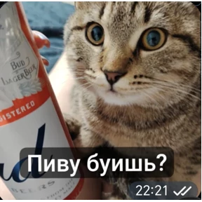 Какой то стикерпак — стикер для MAX