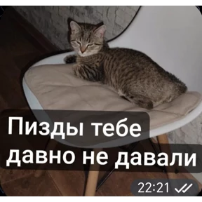 Какой то стикерпак — стикер для MAX
