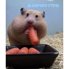 ХеХ — стикер для MAX