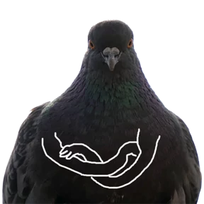Стикер