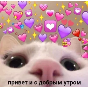 Стикер