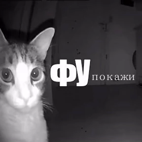 Необходимы для общения — стикер для MAX
