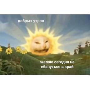 Polli — стикер для MAX