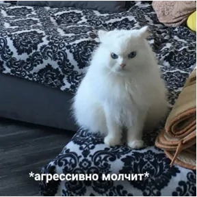 Стикер из сообщения канала