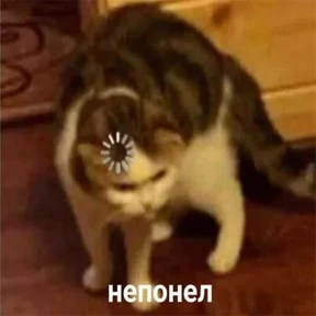 Стикер