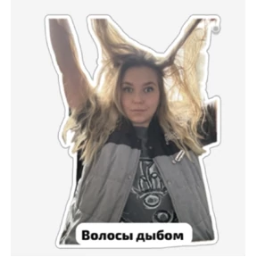 Викич — стикер для MAX