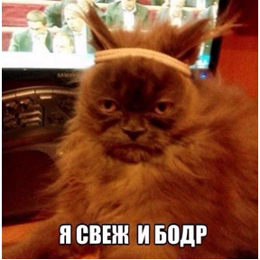Добрые люди — стикер для MAX