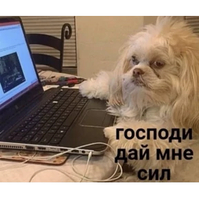 Добрые люди — стикер для MAX