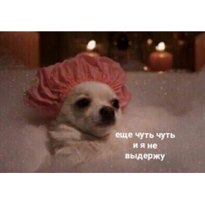 Добрые люди — стикер для MAX