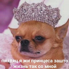 Добрые люди — стикер для MAX
