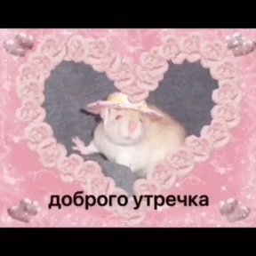 Добрые люди — стикер для MAX