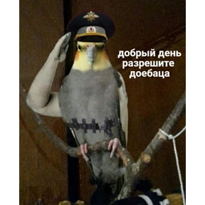 Добрые люди — стикер для MAX