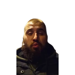 Лыловы с приветом — стикер для MAX