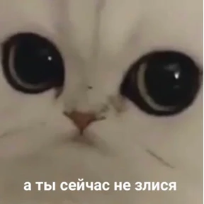 мухоморчик — стикер для MAX