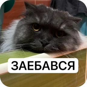мухоморчик — стикер для MAX
