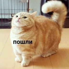 Фото — 1 сентября 2026 г. в 13:00:06.833