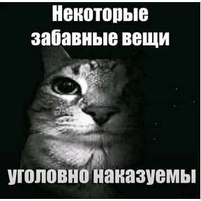 пупипупи — стикер для MAX