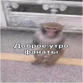 пупипупи — стикер для MAX