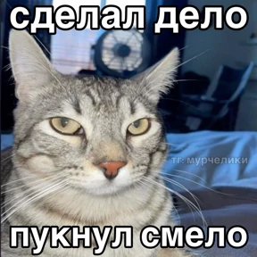 пупипупи — стикер для MAX