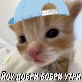 пупипупи — стикер для MAX