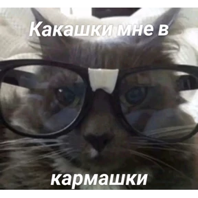 пупипупи — стикер для MAX