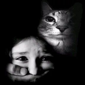 Котики — стикер для MAX