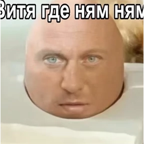 Котики — стикер для MAX