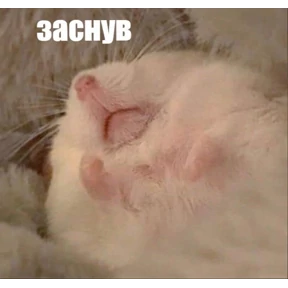 А ой — стикер для MAX