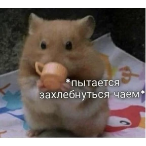 А ой — стикер для MAX