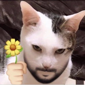 А ой — стикер для MAX